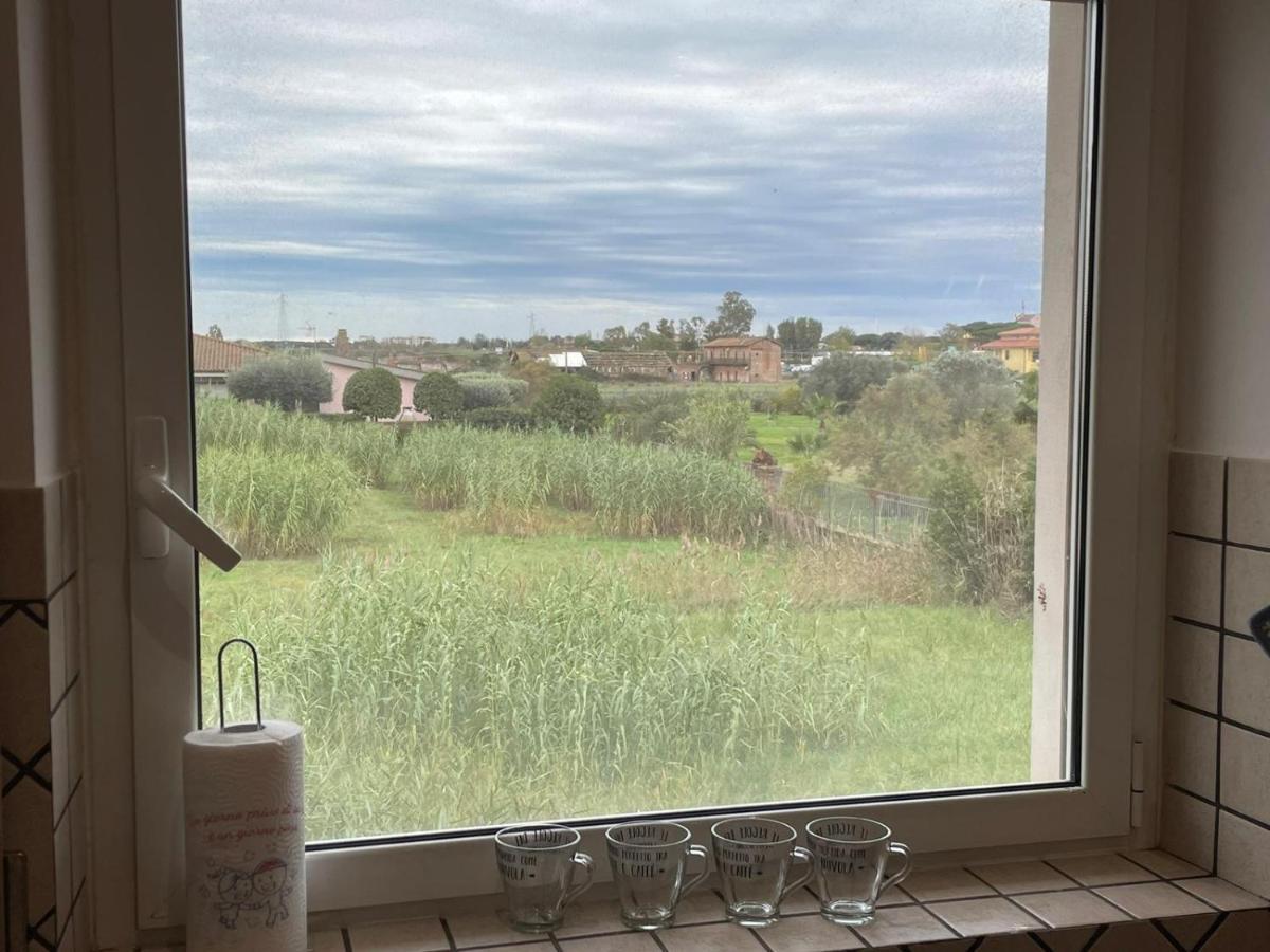 Appartamento Casa Orchidea Fiumicino Esterno foto
